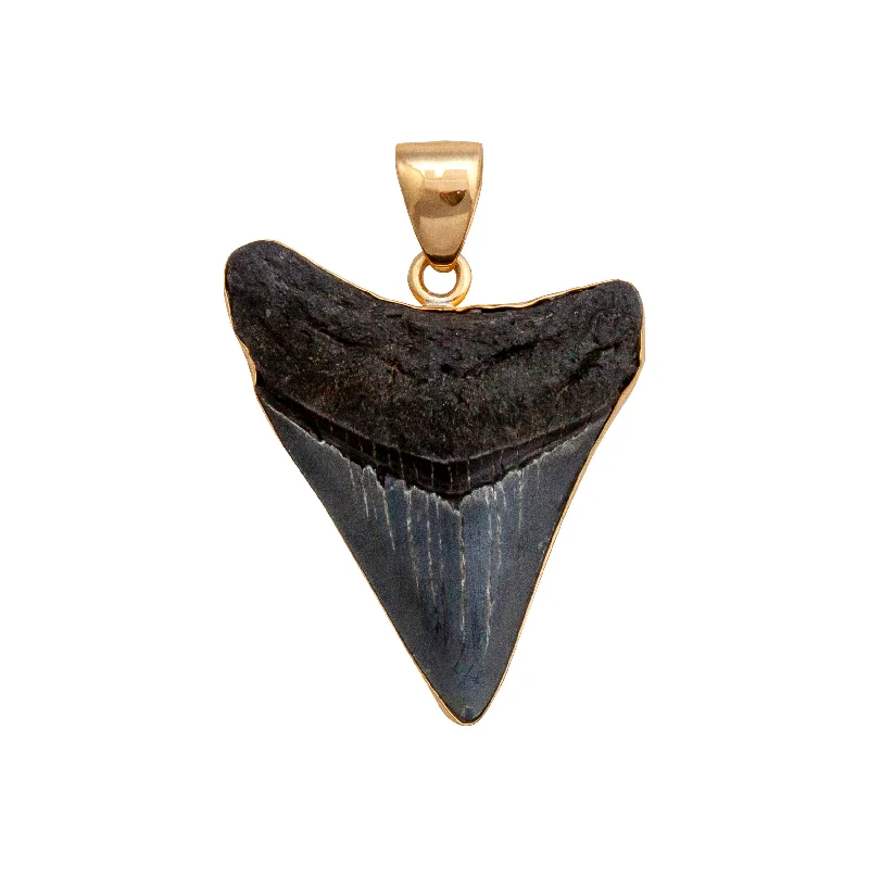 Alchemia Fossil Shark Tooth Pendant